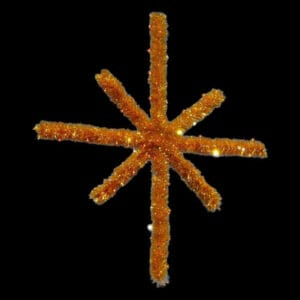 3' Garland Starburst Holiday Light Display