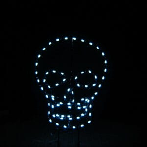 4' Skull Halloween Light Display