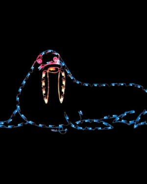 3' Walrus Holiday Light Display
