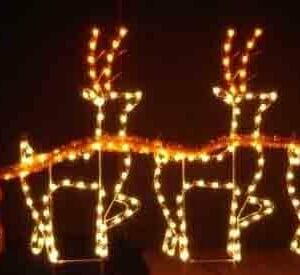 SANTA AND REINDEER TEAM