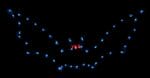 5' Bat Halloween Light Display