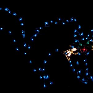 5' Black Cat Halloween Light Display