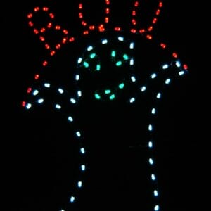 6' Boo Ghost Halloween Light Display