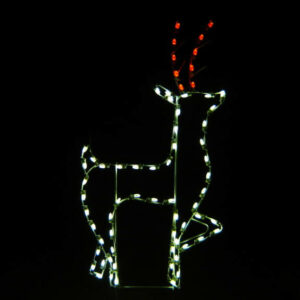 STANDING BUCK
