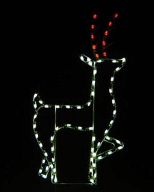 STANDING BUCK