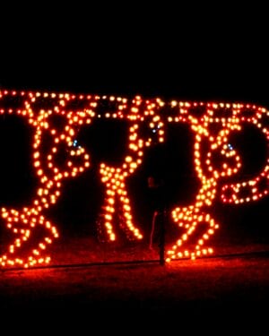 7' Ants With Candy Cane Holiday Light Display