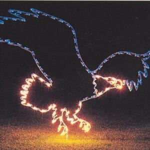 Flying Eagle Holiday Light Display