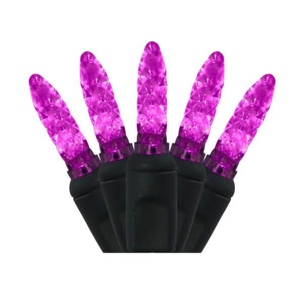 M5 100 LIGHT LED PURPLE CHRISTMAS LIGHTS Creative Displays