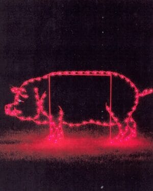 3' Pig Holiday Light Display