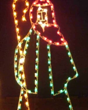 Shepherd Holiday Light Display
