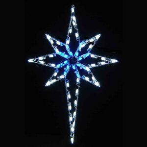 Light Pole Display