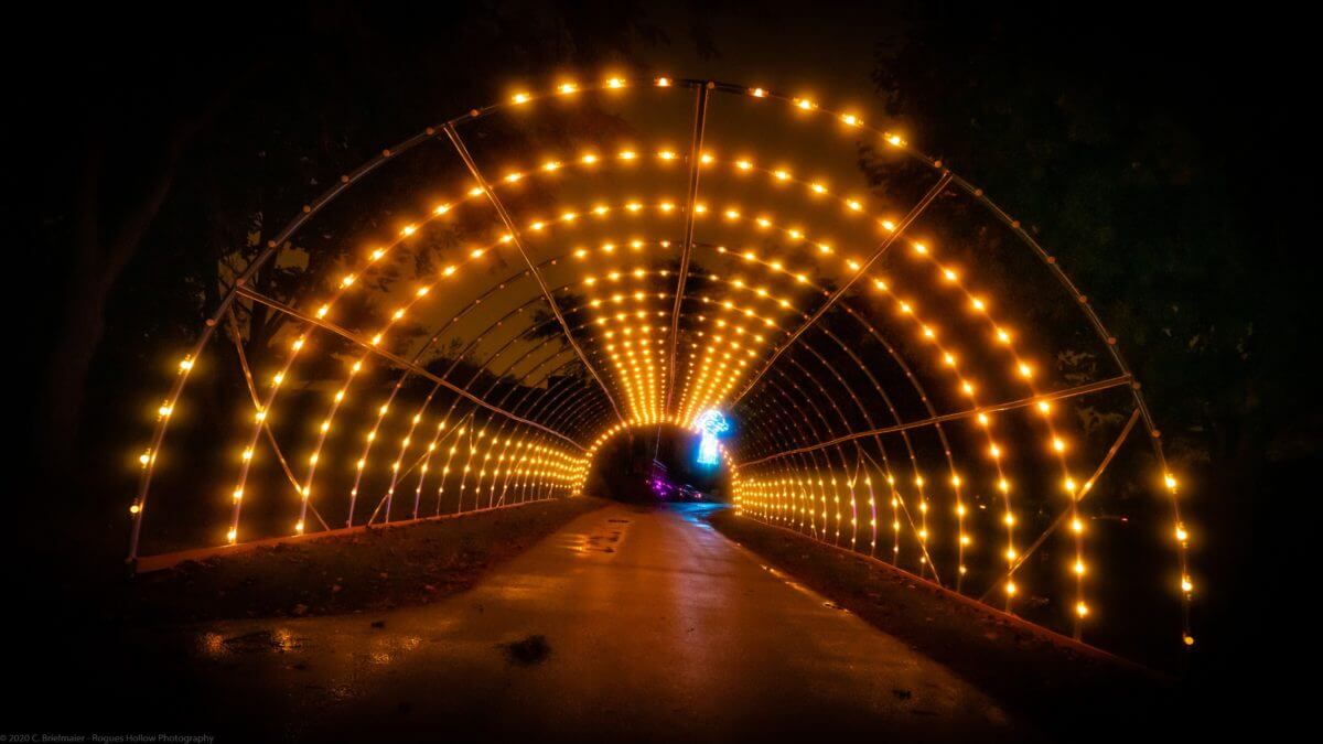 Commercial holiday lighting installer
