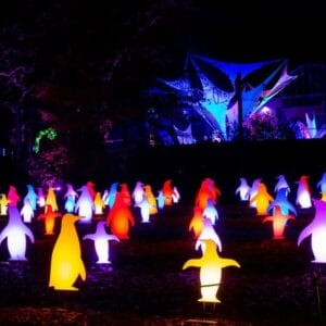 5' Penguin RGB Holiday Light Display