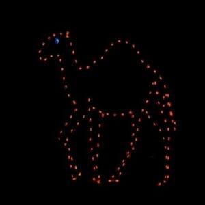 Camel Holiday Display