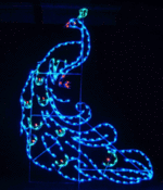 PEACOCK HOLIDAY DISPLAY