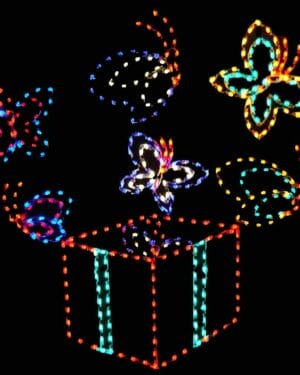 ANIMATED BUTTERFLY BOX