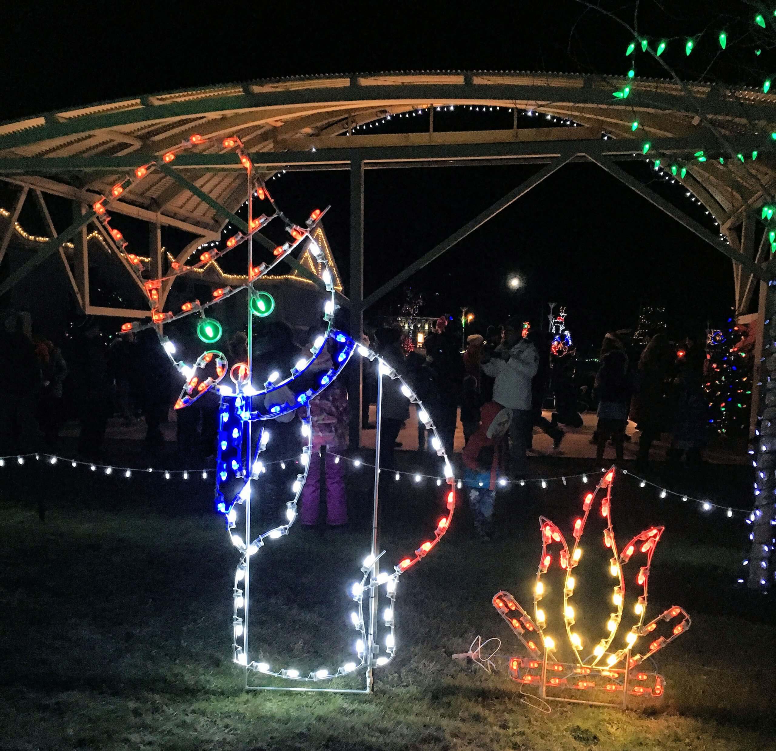 Unique Commercial Holiday Lights Display Designs Creative Displays