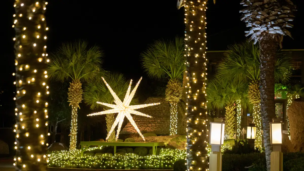 Illuminated Design Star in an outdoor commercial Christmas display