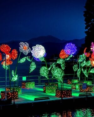 8' Oversized Lotus Dimensional Display