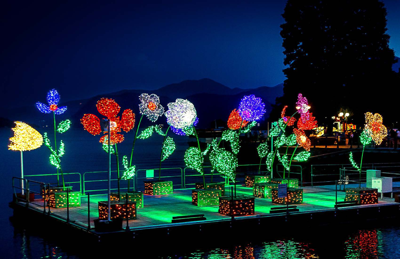 8' Oversized Lotus Dimensional Display
