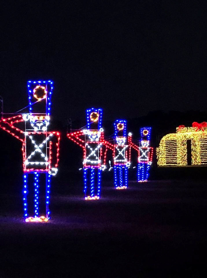 2D Christmas Light Display