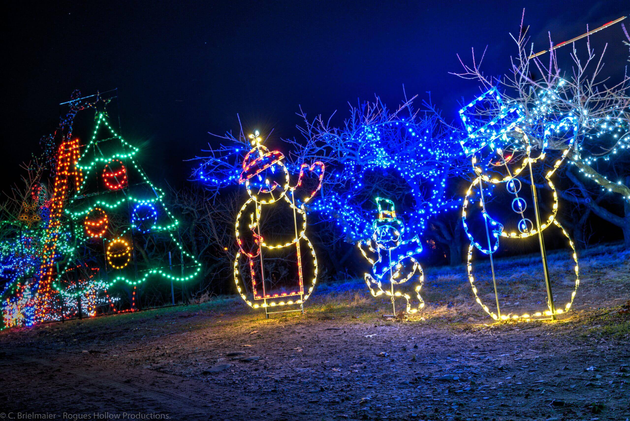 Commercial Christmas Lighting