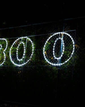 3' Boo Sign Halloween Light Display