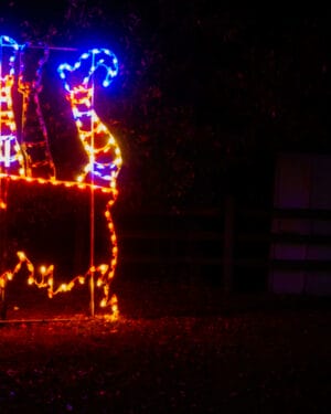 8' Animated Witch Cauldron Halloween Light Display