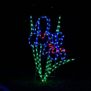 6' Iris Cluster Holiday Light Display