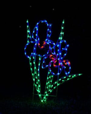 6' Iris Cluster Holiday Light Display