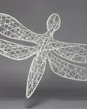 2D Dragonfly