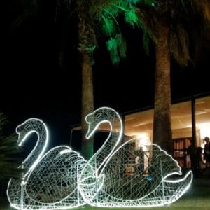 2D Christmas Displays