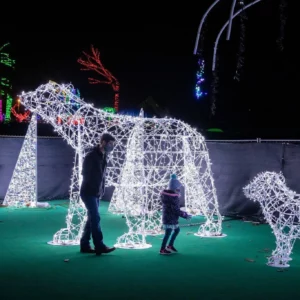 Commercial Christmas Decor