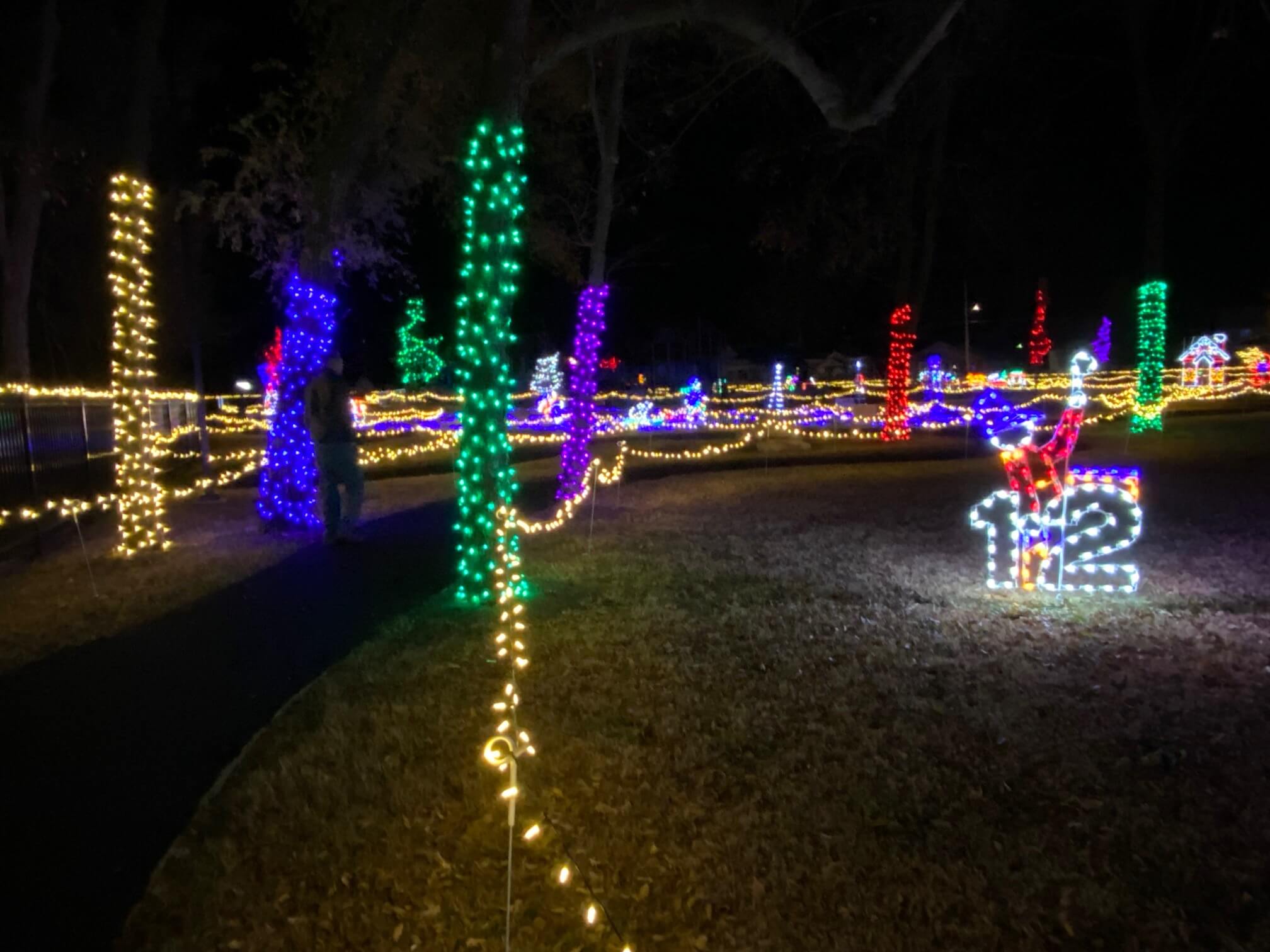 Creative Displays 12 Days of Christmas Day 12 Holiday Light Display