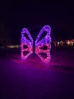 CREATIVE DISPLAYS MESH BUTTERFLY LIGHT DISPLAY