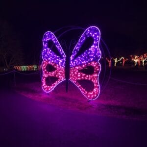 CREATIVE DISPLAYS MESH BUTTERFLY LIGHT DISPLAY