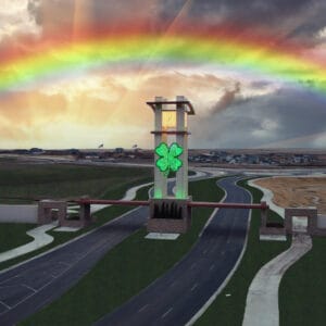 SHAMROCK CUSTOM FABRICATED LIGHT DISPLAY