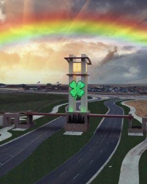 SHAMROCK CUSTOM FABRICATED LIGHT DISPLAY