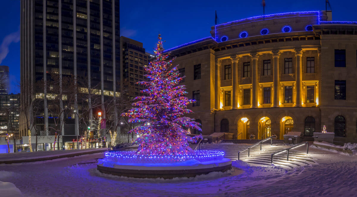 Creative Displays Commercial Christmas Trees