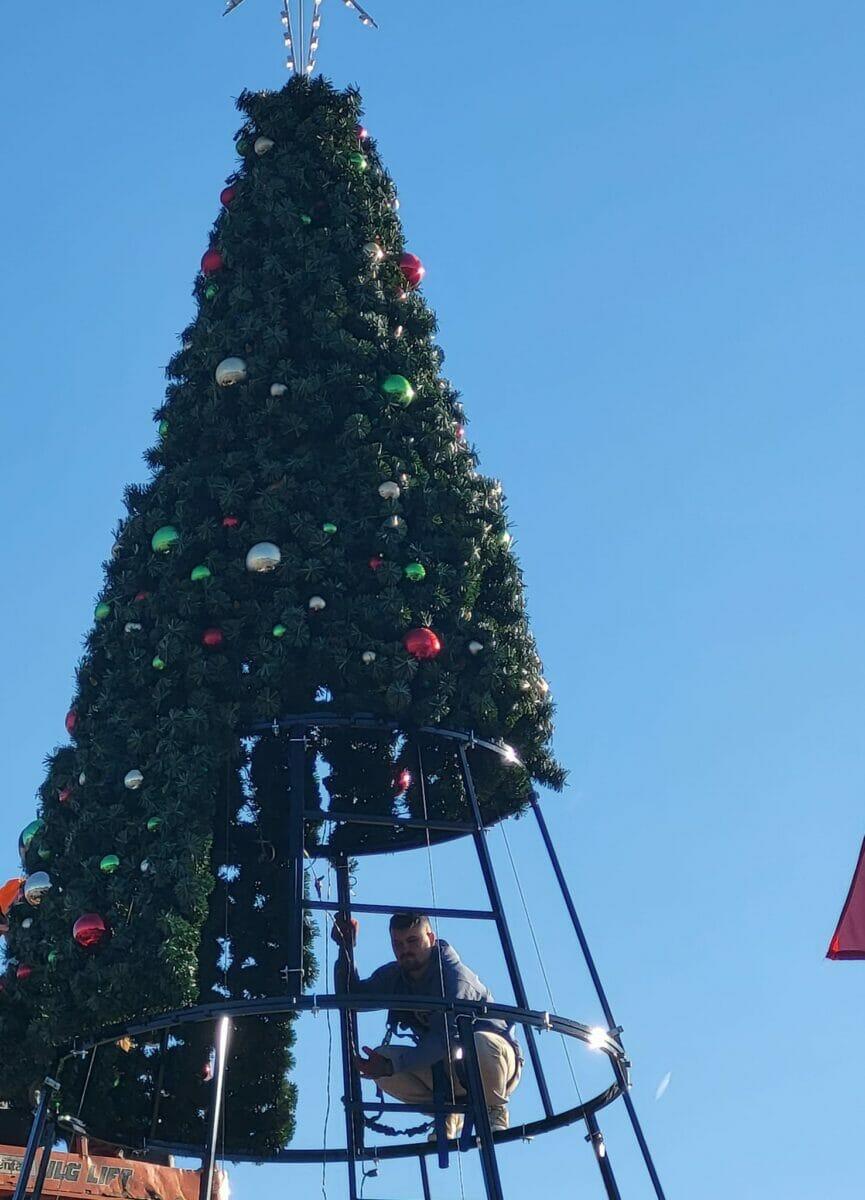Multiple Panel Tree What Is a Giant Panel Tree? - Creative Displays