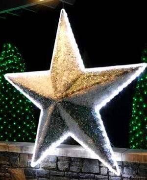 7' 2D BF Nautical Star Holiday Lighting Display