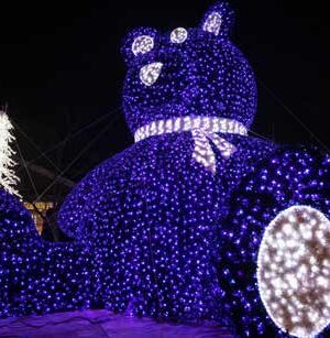 16' 3D Teddy Bear Holiday Lighting Display