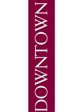 Downtown Side Car Street Banner