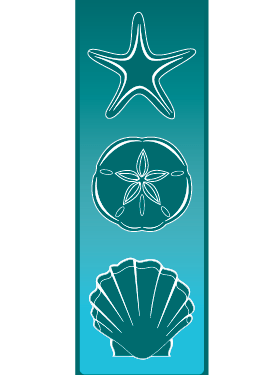 Seashells Trio Street Banner 09207