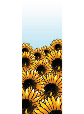 HiTech Sunflowers Street Banner