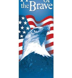 Star Spangled Brave Eagle Street Banner 11931