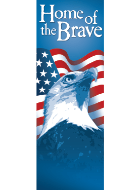 Star Spangled Brave Eagle Street Banner 11931