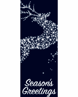 Deer In Midnight Flight Street Banner 17110