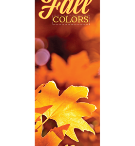 Fall Colors Street Banner FACO20919 22