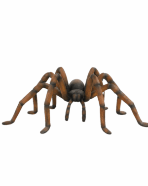 2' Recluse Spider Halloween Fiberglass Display